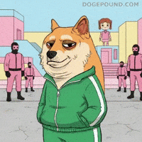 Shiba Inu Netflix GIF by Doge Pound