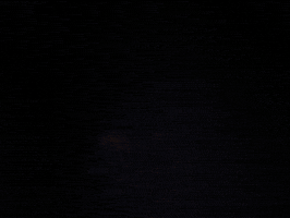 attack of the killer tomatoes coolidge after midnite GIF by Coolidge Corner Theatre