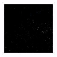 New York Fashion Week GIF by Chantal Caduff