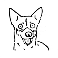 Dog Wow GIF by butpoorlydrawn