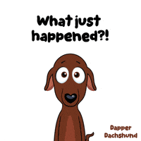 No Way What GIF by VeeFriends