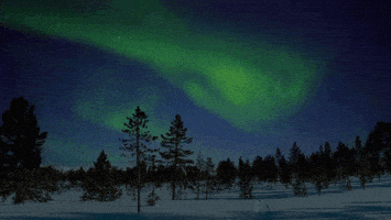 northern lights snow GIF by Living Stills