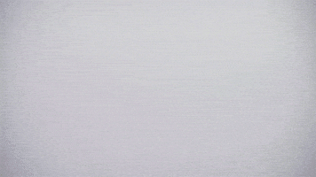 The Muppets Kermit GIF by Muppet Wiki