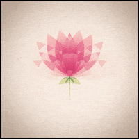 seamless flower GIF by Erica Anderson