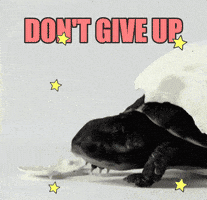 hang in there turtle GIF by chuber channel