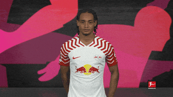 Oh No Facepalm GIF by Bundesliga