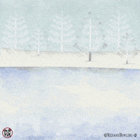 cat skating GIF by Red & Howling