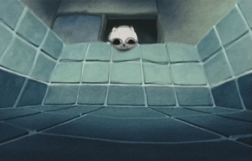 Cat Pool GIF