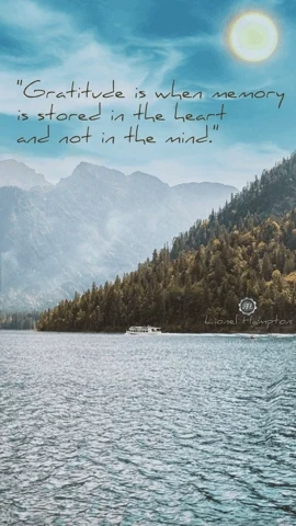 Thanksgiving Appreciate GIF