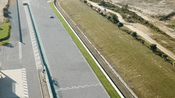 driving artificial intelligence GIF by Roborace