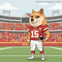 Kansas City Chiefs Football GIF by Doge Pound