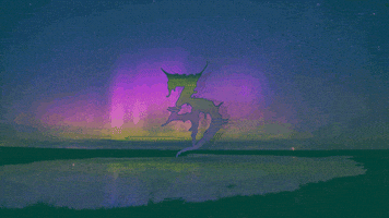 northern lights GIF by BTBDesignNC