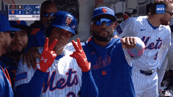 Home Run Celebration GIF by New York Mets