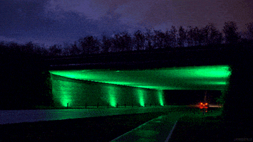 perfect loop GIF by Living Stills