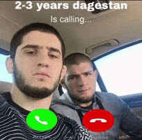 Khabib Nurmagomedov Ufc GIF