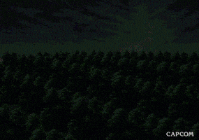 Video Game GIF by CAPCOM
