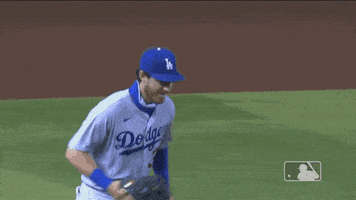 Regular Season Sport GIF by MLB