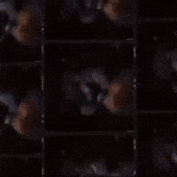 The Joker Dc GIF