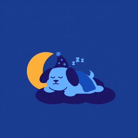 Snoozing Good Night GIF