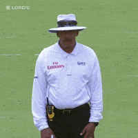 London Yes GIF by Lord's Cricket Ground
