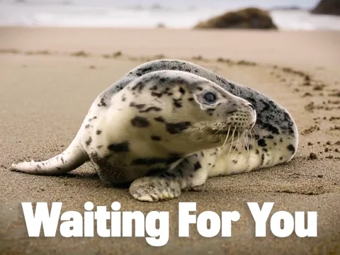Love You Waiting GIF