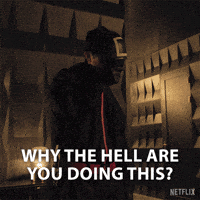 Why The Hell GIF by NETFLIX