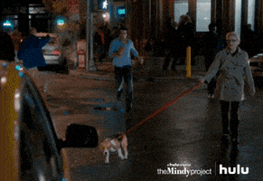 the mindy project fox GIF by HULU