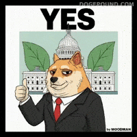 Shiba Inu Yes GIF by Doge Pound