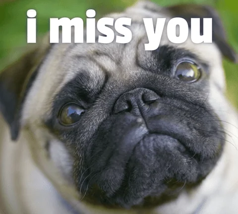 Sad Miss You GIF