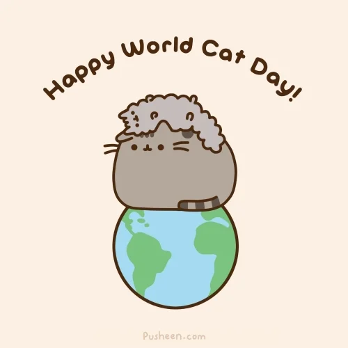 International Cat Day GIF
