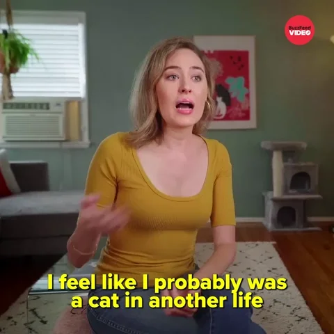 International Cat Day Cats GIF
