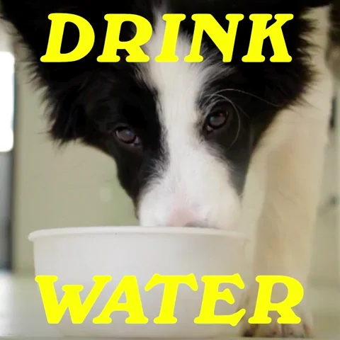 Melting Drink Water GIF