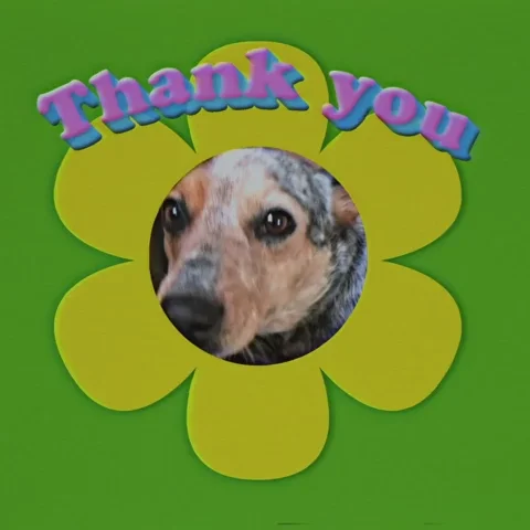 Dog Thank You GIF