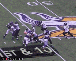 GIF by SB Nation