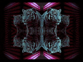neon lights GIF by Morena Daniela