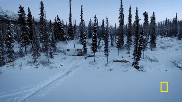 GIF by National Geographic Channel