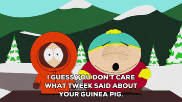 eric cartman guine pig GIF by South Park 
