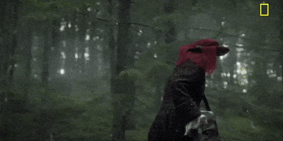 Episode 1 GIF by National Geographic Channel