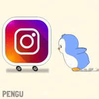 Social Media Instagram GIF by Pudgy Penguins