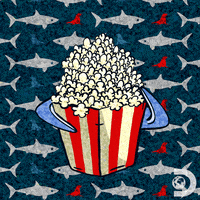 Discovery Channel GIF by Shark Week