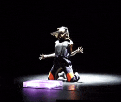 GIF by Chicago Dance Crash