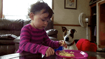 americas funniest home videos GIF by AFV Babies