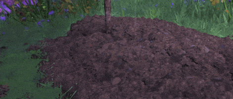 Happy Antonio Banderas GIF by Puss In Boots