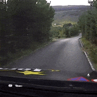 Motorsport Erc GIF by FIA European Rally Championship