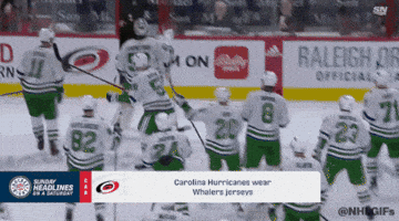 Happy Carolina Hurricanes GIF by NHL