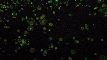 Milky Way Animation GIF by European Space Agency - ESA