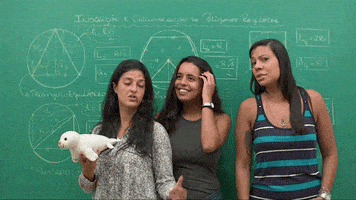 lara GIF by Descomplica