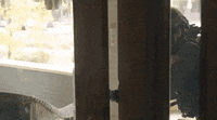 Shemar Moore Swat GIF by CBS