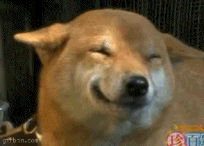 gif used in post