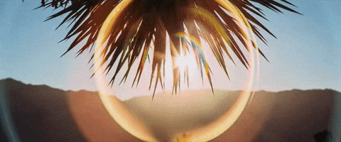 gif used in post